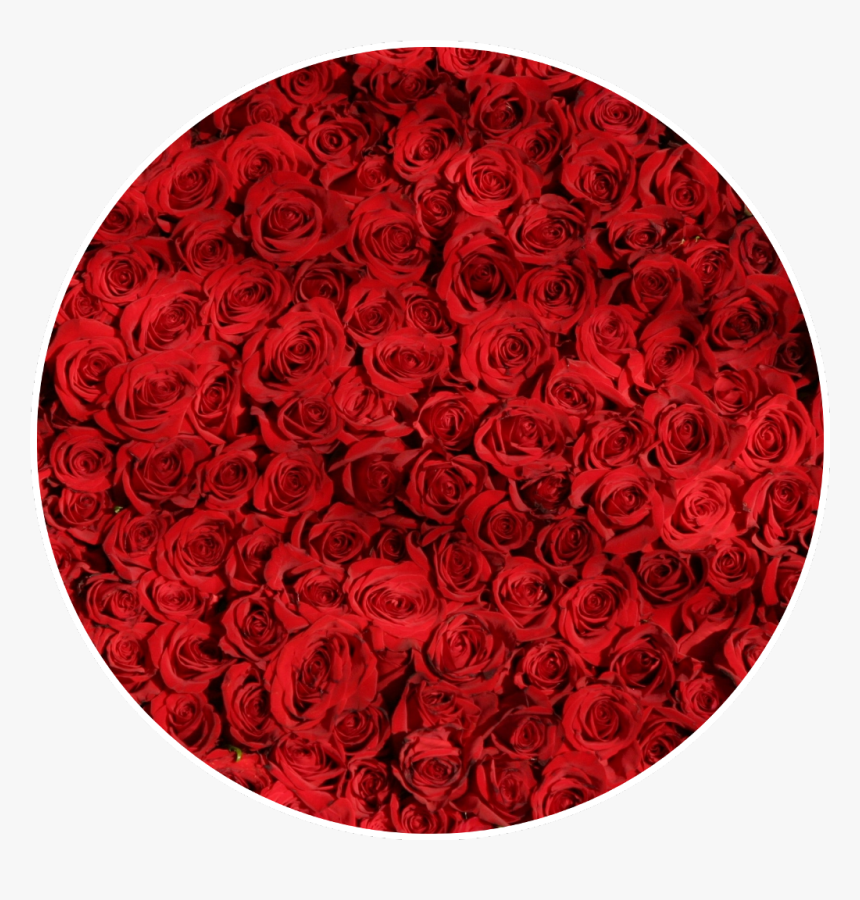 Transparent Red Circle Frame Png - Roses Wallpaper Iphone X, Png Download, Free Download