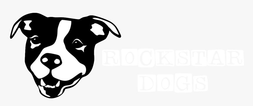 Show Me Your Pitties Svg, HD Png Download, Free Download