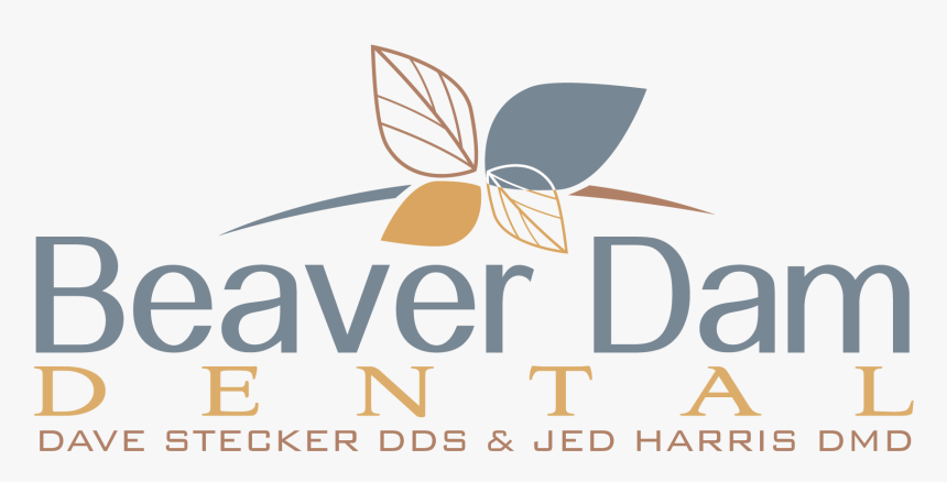 Beaver Dam Dental Introduction Video By Envision - Vernazza, HD Png Download, Free Download