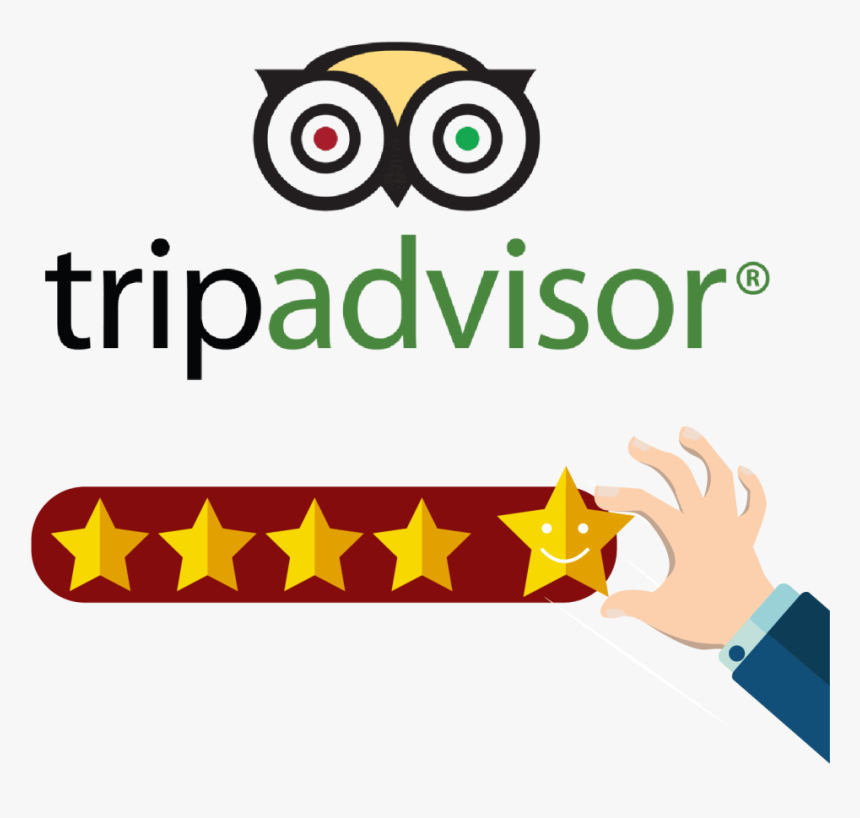 Tripadvisor - Tripadvisor Logo Png Transparent, Png Download, Free Download