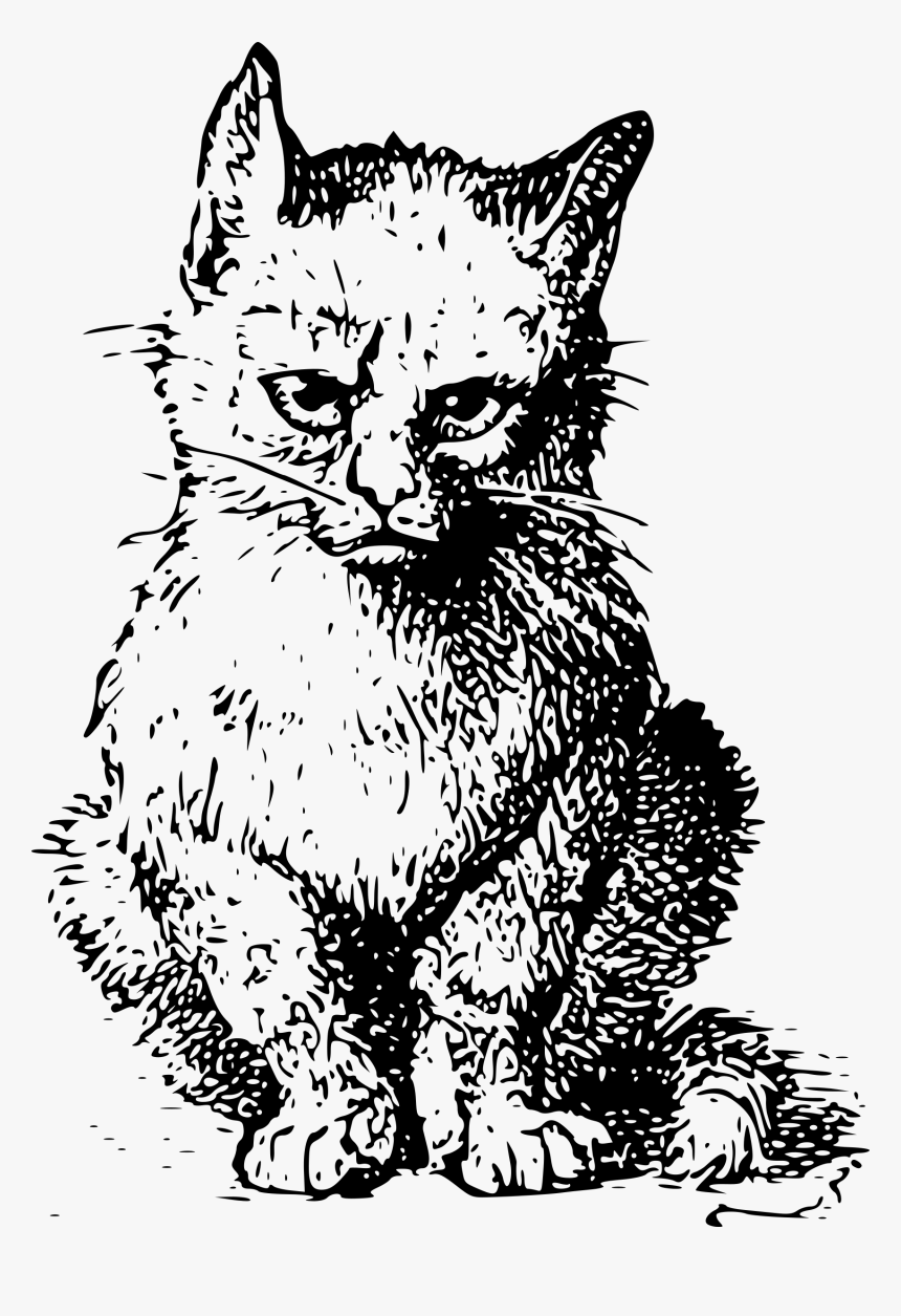 The Original Grumpy Cat Clip Arts - Cat Engraving, HD Png Download, Free Download