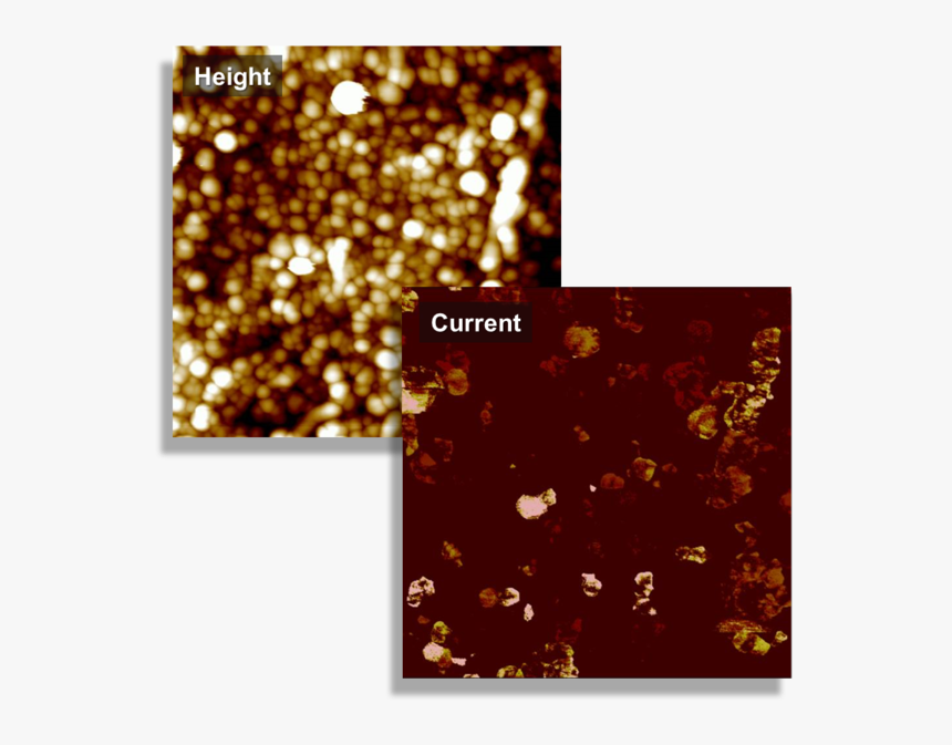 Fastscan Complete Quantitative Carbon Nanotube V1 - Tuna Afm, HD Png Download, Free Download