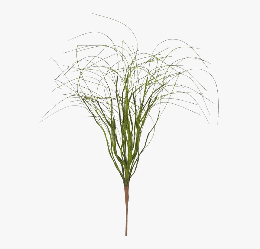 Transparent Bush Texture Png - Grass, Png Download, Free Download