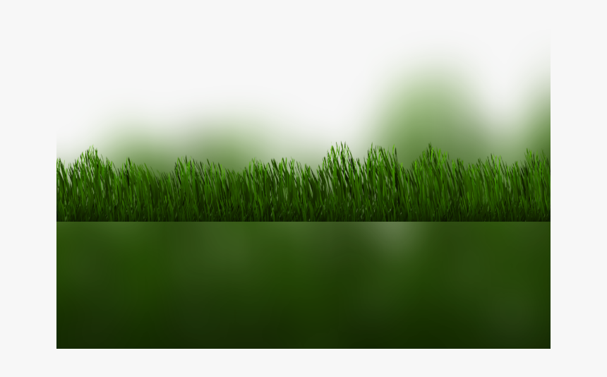 Color Palette Ideas From Grass Family Wheatgrass Image - Grass, HD Png Download, Free Download
