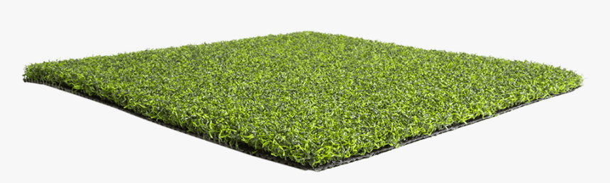 Artificial Grass Liquidators Turf Agl Pro Putt56 - Lawn, HD Png Download, Free Download