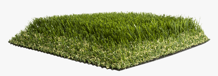 Artificial Grass Liquidators Turf Agl Pro110 - Lawn, HD Png Download, Free Download