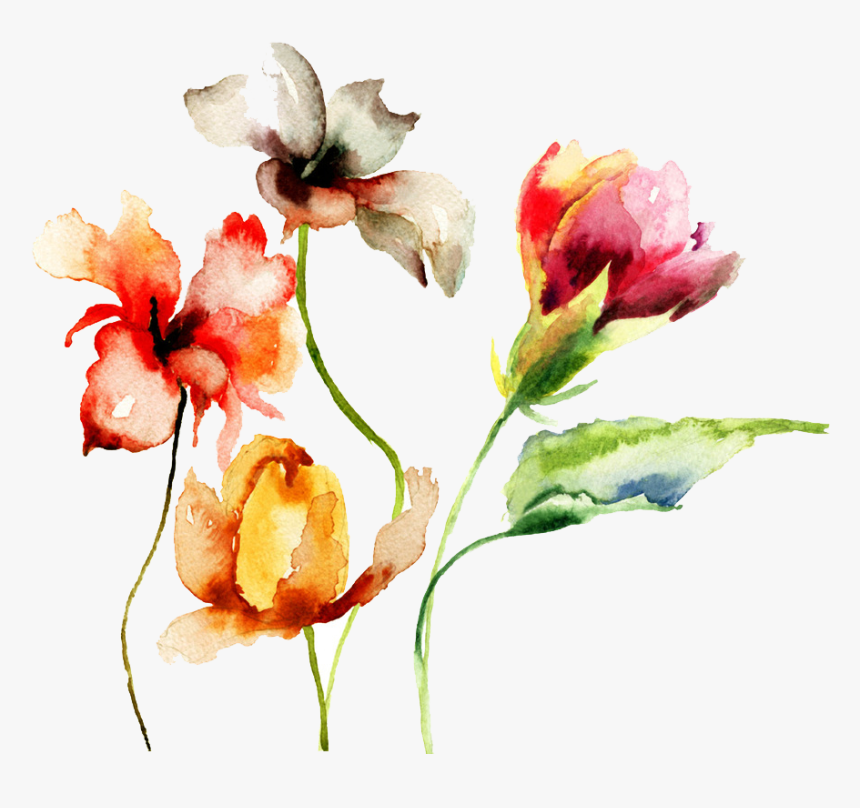 Transparent Painted Flower Clipart - Transparent Flower Drawing Png, Png Download, Free Download