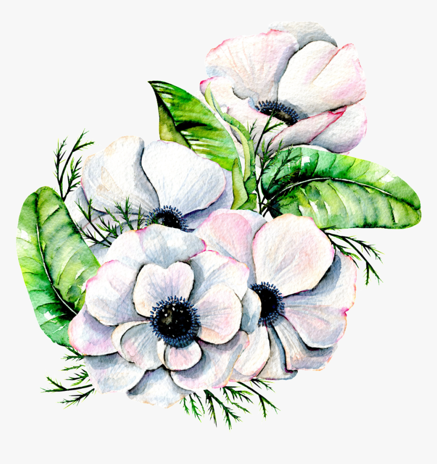 Hand Painted Elegant White Flower Png Transparent - White Watercolor Flower Png, Png Download, Free Download