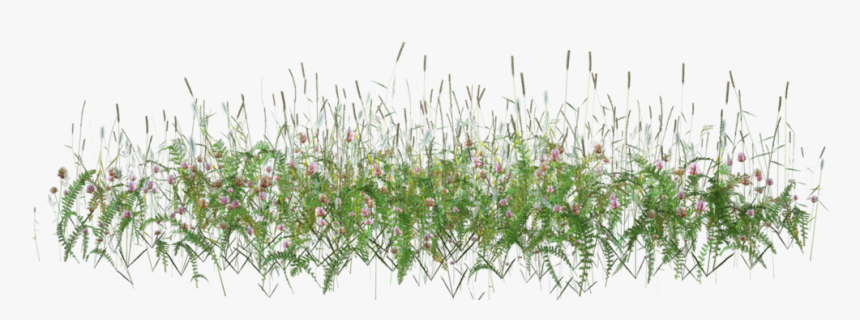 Tall Grass Flower Png, Transparent Png, Free Download