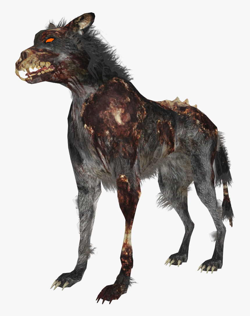 Zombie Wolf Zps4bf8a59d - Hellhound Png Black Ops, Transparent Png, Free Download