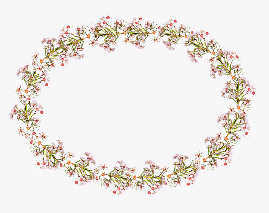 Frame, Border, Wax Flowers, Floral - Png Çiçek Çerçeve, Transparent Png, Free Download