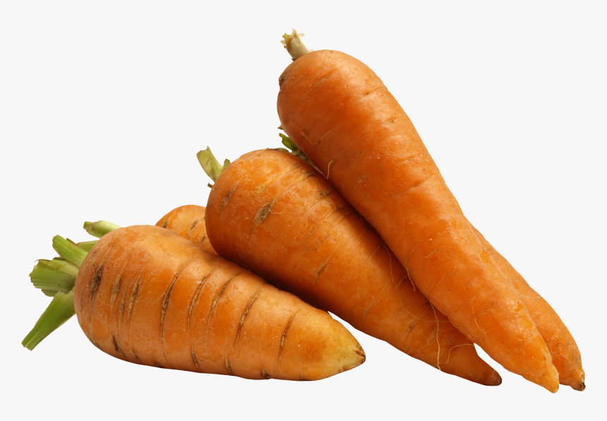 Free Download Of Carrot Icon Png, Transparent Png, Free Download