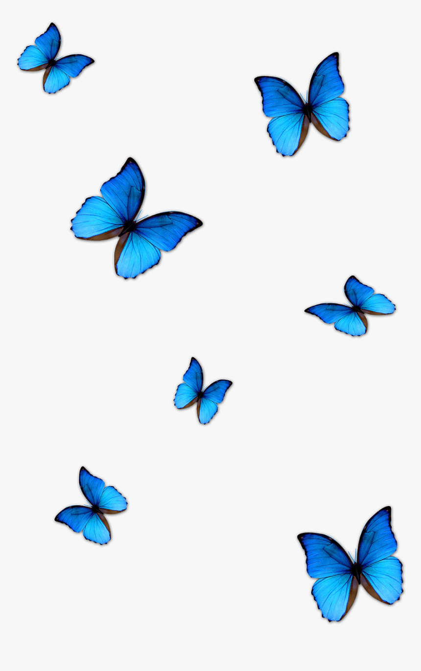Butterfly Png Effects - Lil Skies Blue Butterfly, Transparent Png, Free Download