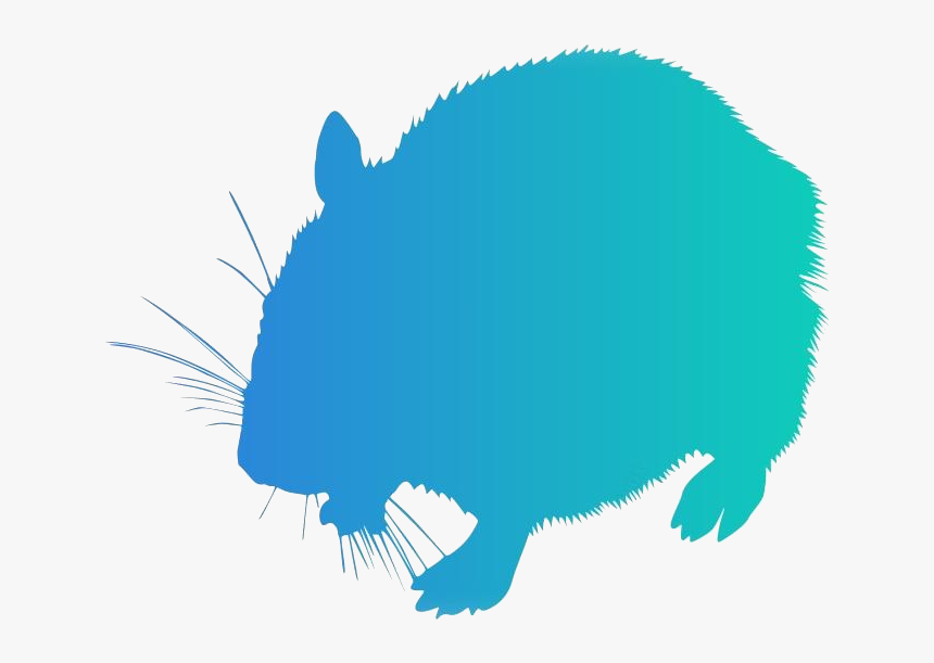 Transparent Gerbil Png Image - Illustration, Png Download, Free Download