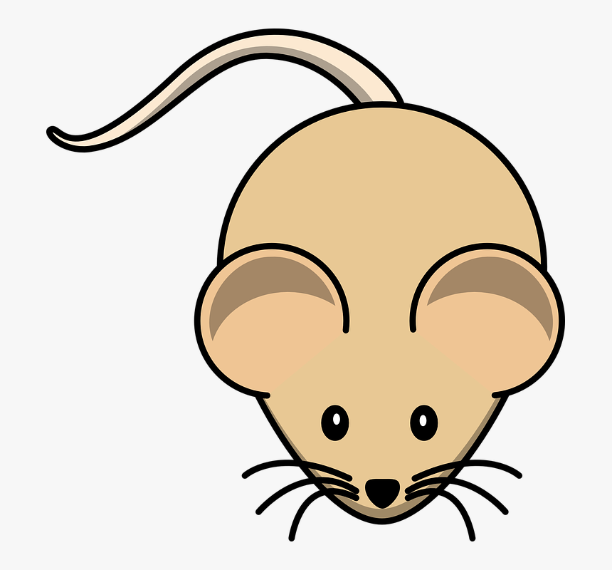 Gerbil, Mouse, Rodent, Brown, Animal, Mammal, Small - Cartoon Mouse, HD Png Download, Free Download