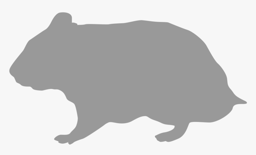 Rodent Hamster Silhouette Gerbil - Wombat, HD Png Download, Free Download