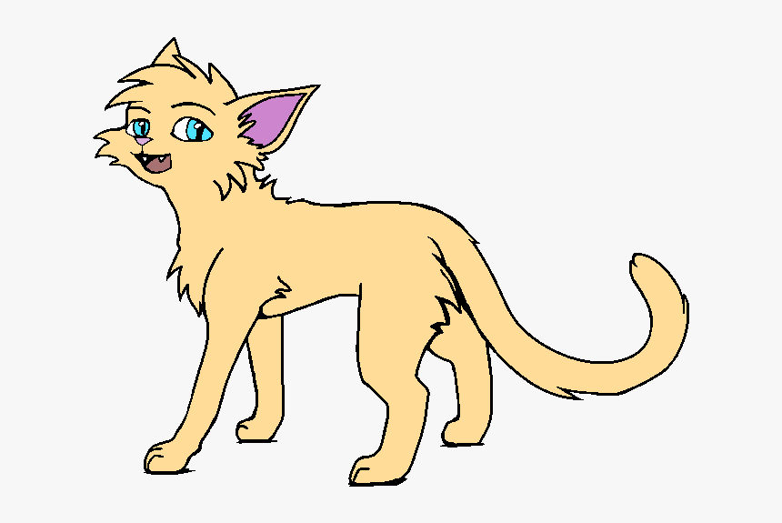 Transparent Gerbil Png - Cat, Png Download, Free Download