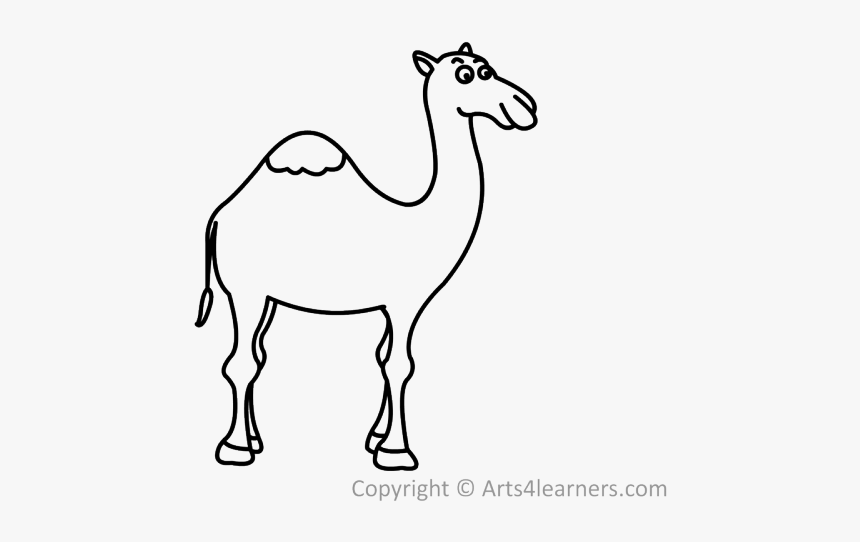 Png Camel Cartoon Black And White, Transparent Png, Free Download