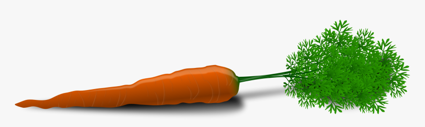 Carrot Icon Png, Transparent Png, Free Download