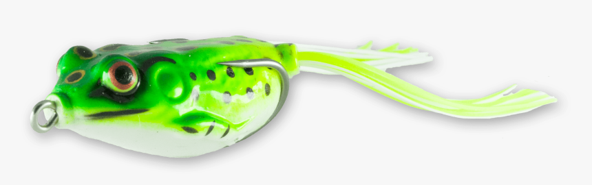 Vegetable, HD Png Download, Free Download