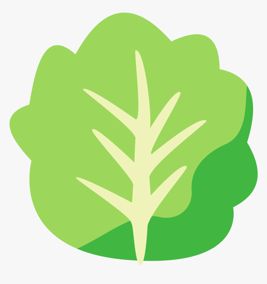 Lettuce-icon - Illustration, HD Png Download, Free Download