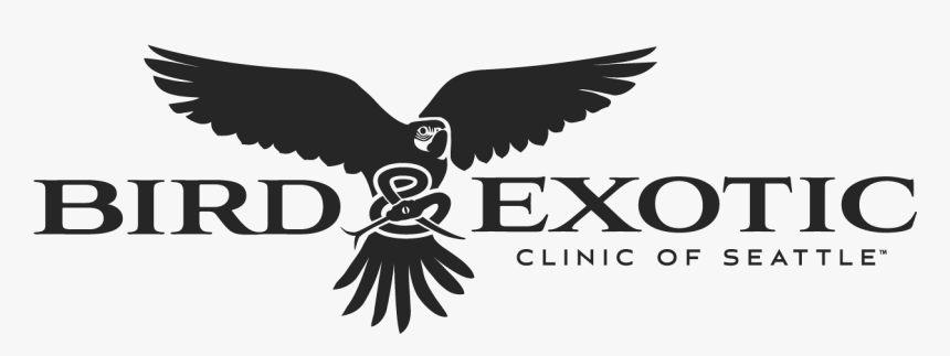 Bird & Exotic Veterinary Services - Hawk, HD Png Download, Free Download