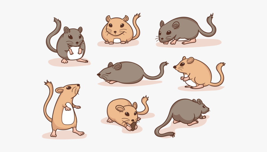 Gerbil Cartoon Vector - Gerbil Illustration, HD Png Download, Free Download