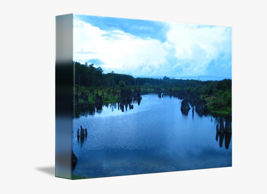 Transparent Lake Dead - Reflection, HD Png Download, Free Download