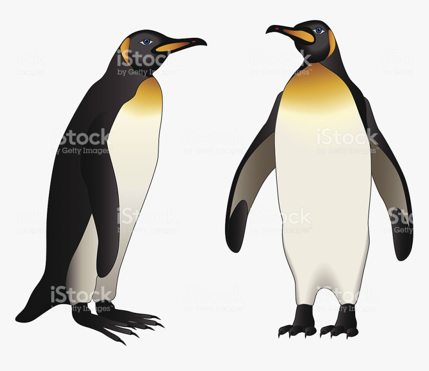 Penguin Emperor Clip Art Vector Images Illustrations - Penguin, HD Png Download, Free Download