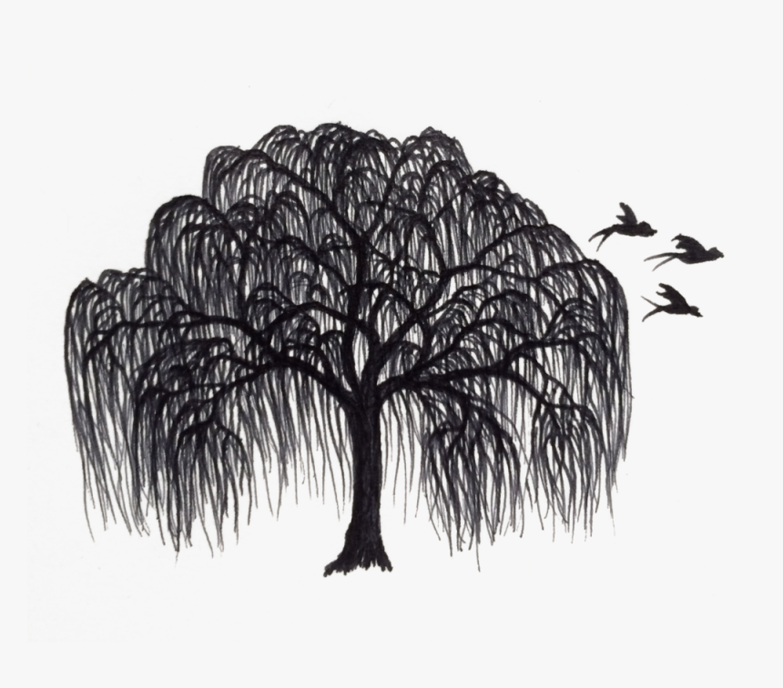 Transparent Joshua Tree Clipart - Willow Tree Silhouette Free, HD Png Download, Free Download