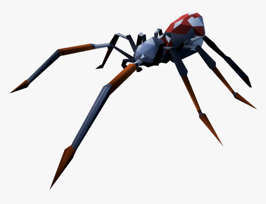 Tangle-web Spider, HD Png Download, Free Download