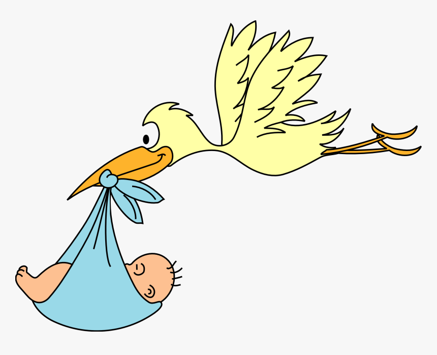 Infant White Stork Clip Art - Baby Stork Png, Transparent Png, Free Download