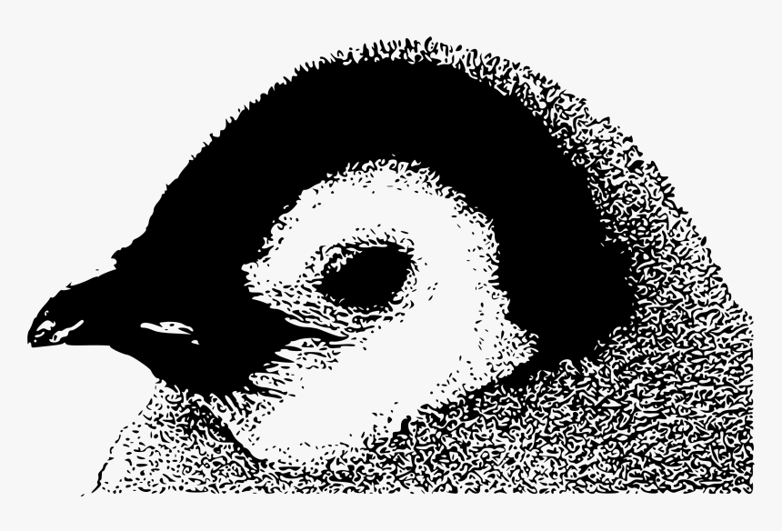Emperor Penguin Chick Clip Arts - Art Clipart Emperor Penguin Baby, HD Png Download, Free Download