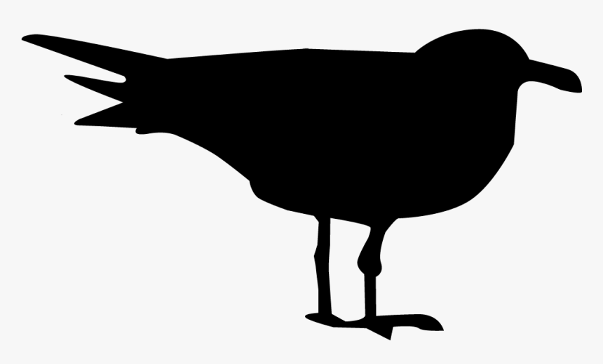 Png Black And White Stock Seagulls Drawing Silhouette - Black And White Gull Icon, Transparent Png, Free Download