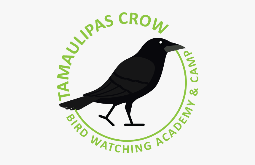 Tamaulipas Crow Picture - Recycle, HD Png Download, Free Download
