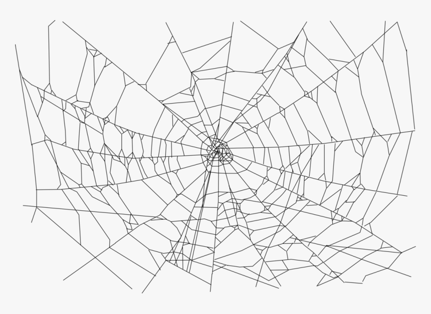Spider Web Drawing Pic - Transparent Background Spider Web Png, Png Download, Free Download