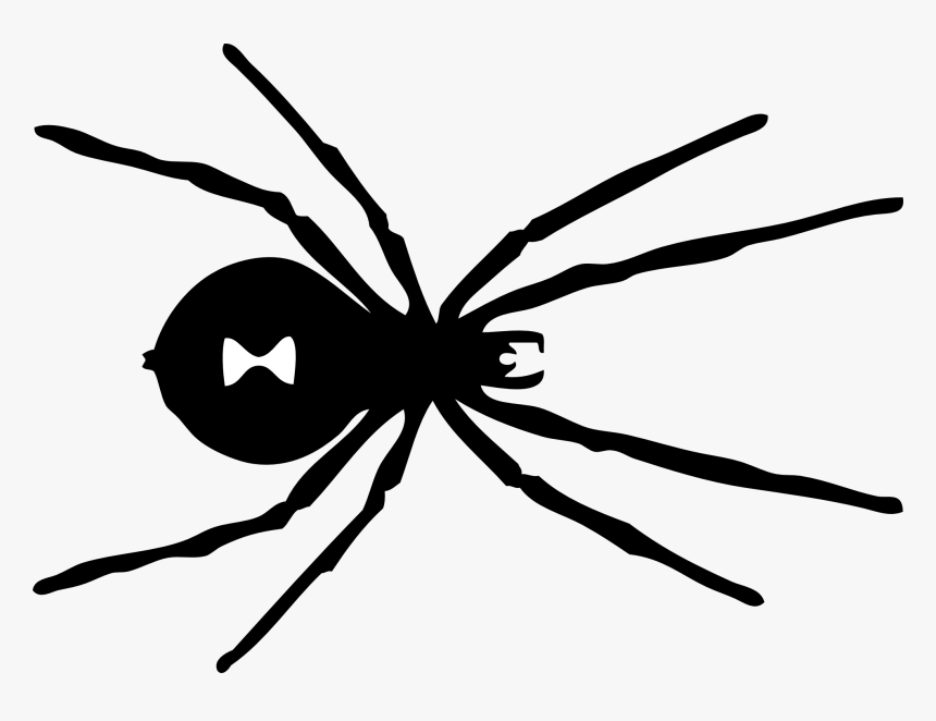 Spider Clipart Black And White - Black Widow Spider Pattern, HD Png Download, Free Download