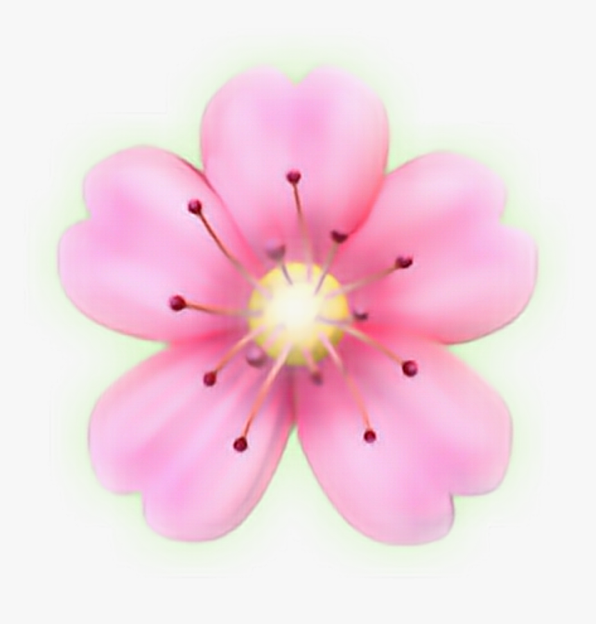 Sticker Petal Picsart Photo - Flower Emoji Png, Transparent Png, Free Download