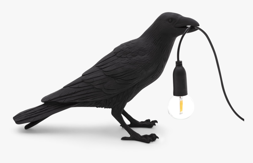 Bird Lamp Waiting Black - Seletti Bird Lamp, HD Png Download, Free Download