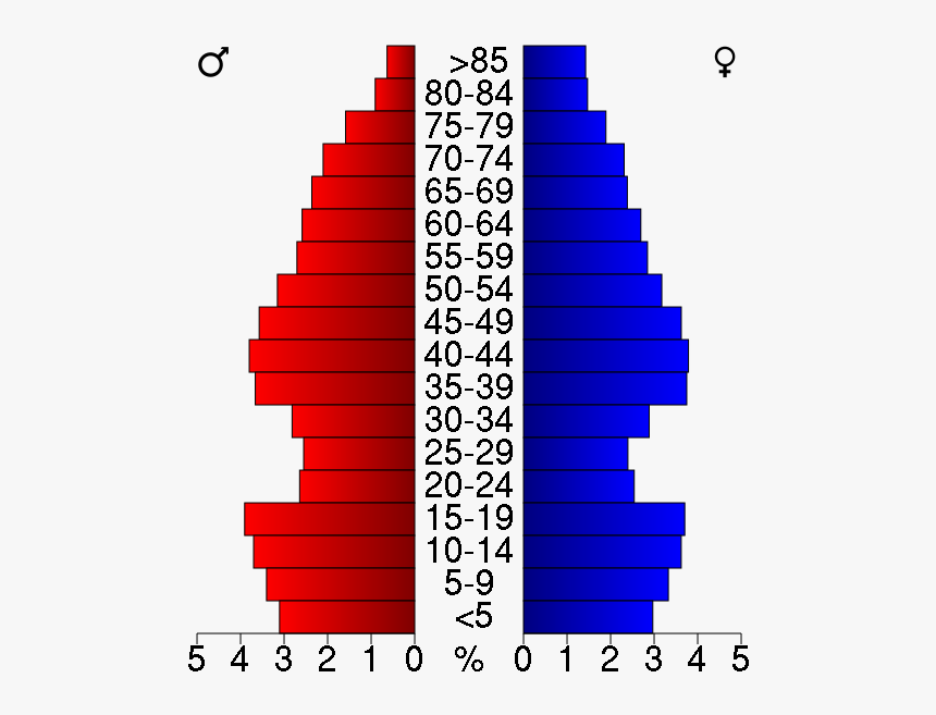 Usa Crow Wing County, Minnesota Age Pyramid - Boston Massachusetts Population Pyramid, HD Png Download, Free Download