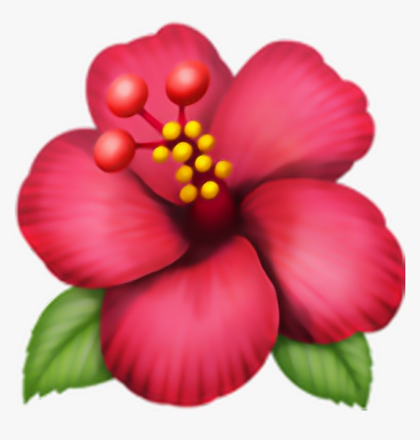 Clip Art Domain Hibiscus Ws Flor - Flower Emoji, HD Png Download, Free Download
