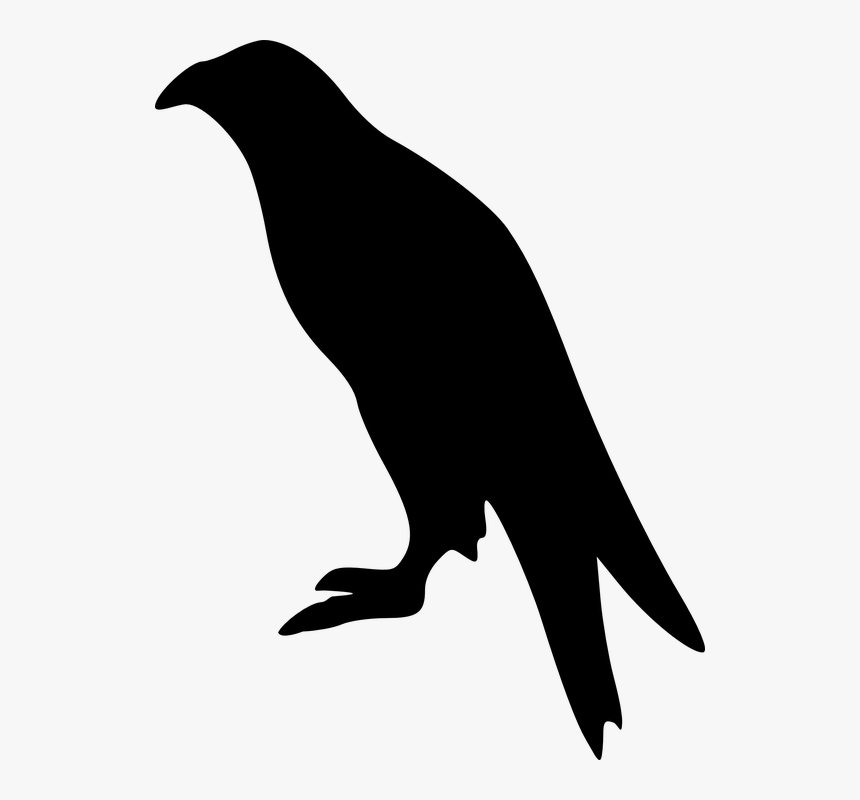 Eagle Silhouette Vector Graphics - Sitting Bird Silhouette Png, Transparent Png, Free Download