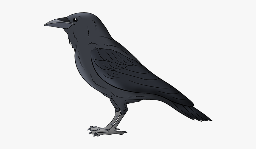 Black Crow Bird, HD Png Download, Free Download