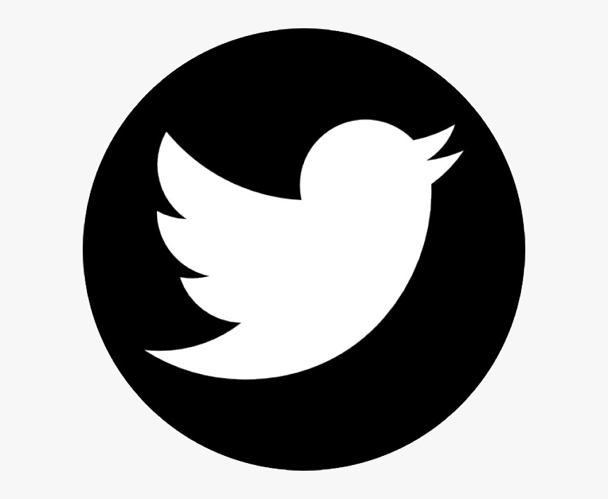 Twitter Logo Png Black Twitter Logo Transparent Background Png Download Kindpng