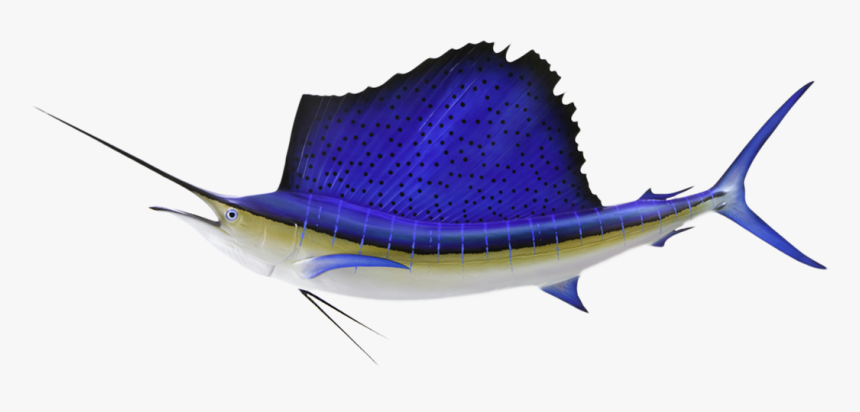 Atlantic Blue Marlin, HD Png Download, Free Download