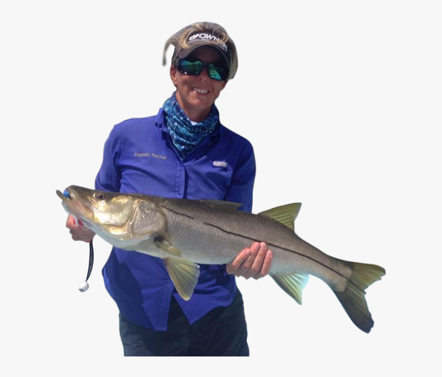 Guy Holding Fish Png, Transparent Png, Free Download