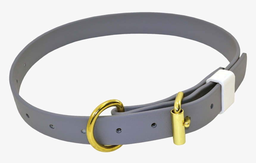 Dog Collar Png - Biothane Collars, Transparent Png, Free Download