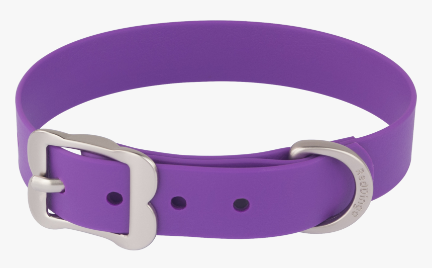 Pet Collars Png - Dog Collar Png, Transparent Png, Free Download