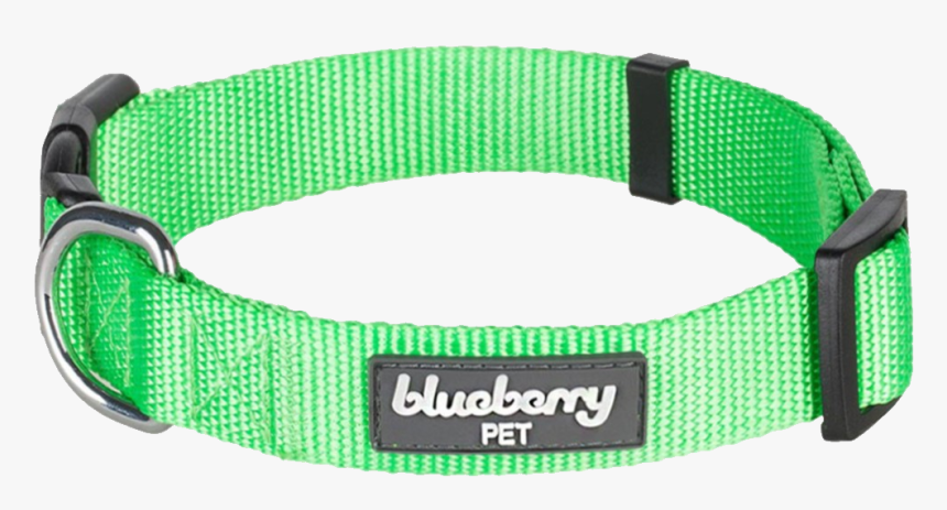 Dog Collar Png - Green Collar Transparent Background, Png Download, Free Download