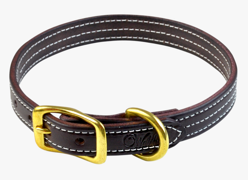 British Dog Collar - Buckle, HD Png Download, Free Download